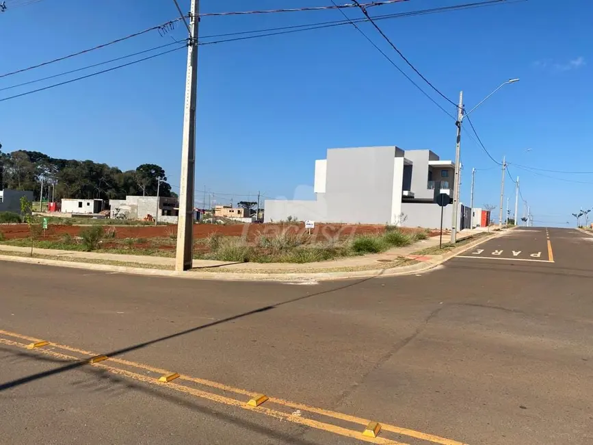 Foto 1 de Terreno / Lote à venda, 265m2 em Industrial, Guarapuava - PR