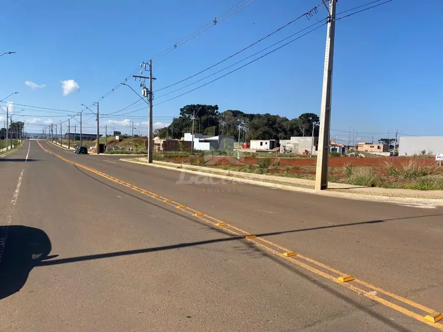 Foto 2 de Terreno / Lote à venda, 265m2 em Industrial, Guarapuava - PR