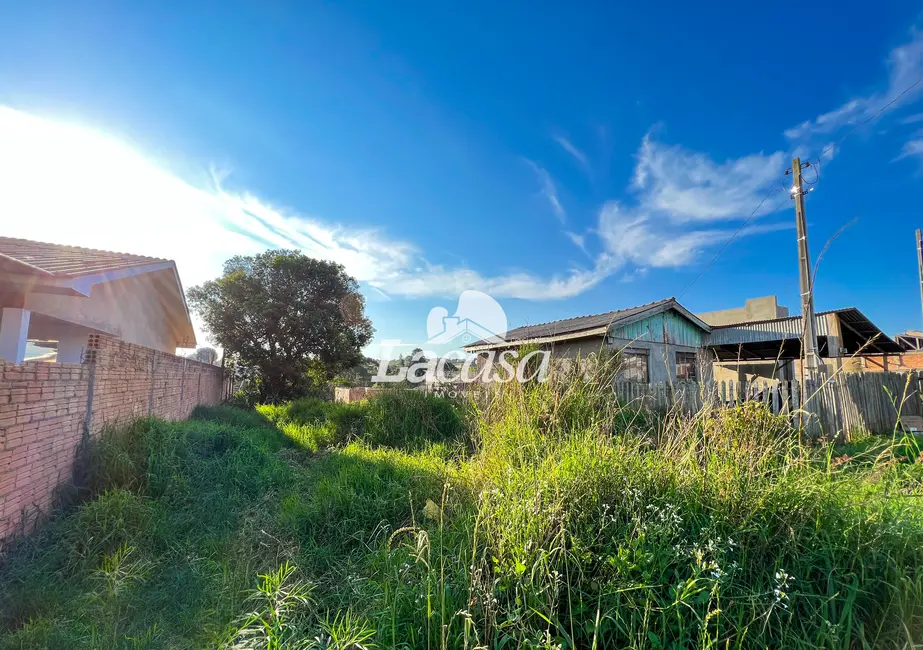Foto 4 de Terreno / Lote à venda, 250m2 em Alto Cascavel, Guarapuava - PR