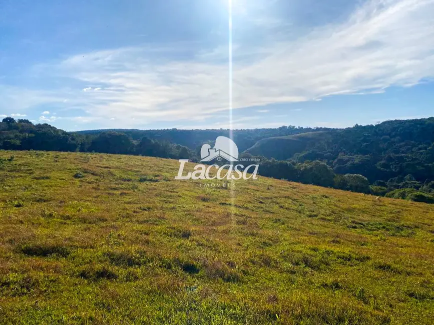 Foto 4 de Fazenda / Haras à venda, 48m2 em Guarapuava - PR