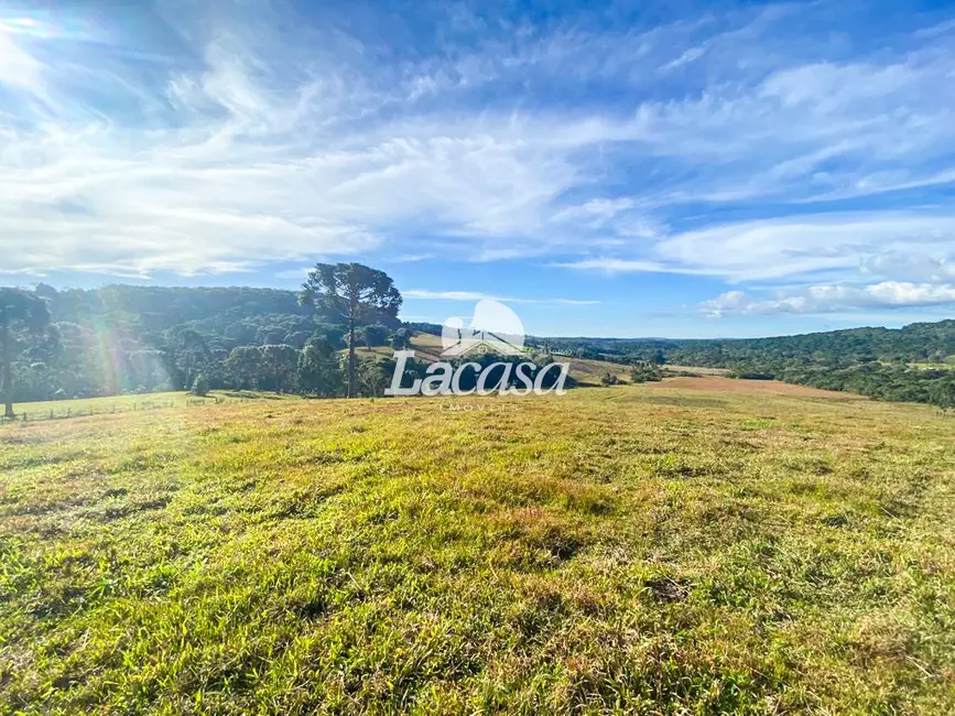 Foto 7 de Fazenda / Haras à venda, 48m2 em Guarapuava - PR