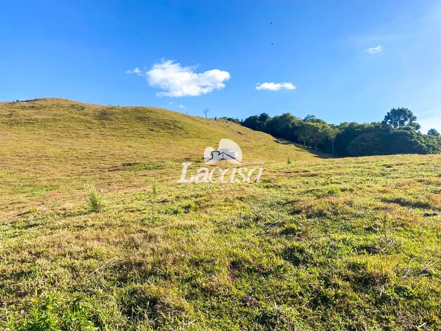 Foto 5 de Fazenda / Haras à venda, 48m2 em Guarapuava - PR