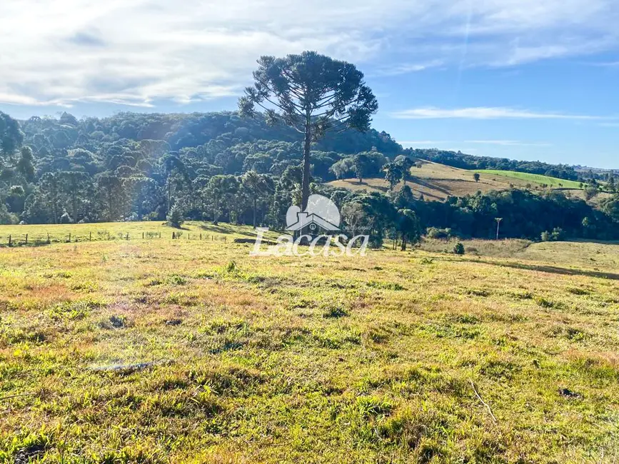 Foto 8 de Fazenda / Haras à venda, 48m2 em Guarapuava - PR