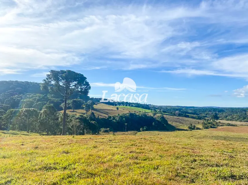 Foto 6 de Fazenda / Haras à venda, 48m2 em Guarapuava - PR