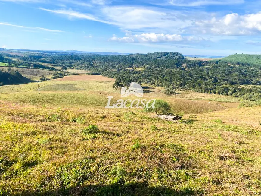 Foto 9 de Fazenda / Haras à venda, 48m2 em Guarapuava - PR
