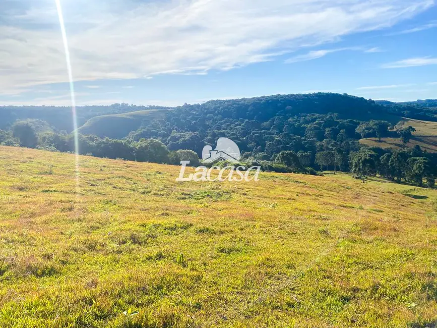 Foto 3 de Fazenda / Haras à venda, 48m2 em Guarapuava - PR