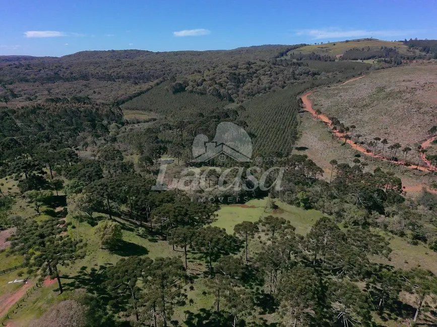 Foto 9 de Chácara à venda, 19m2 em Guarapuava - PR