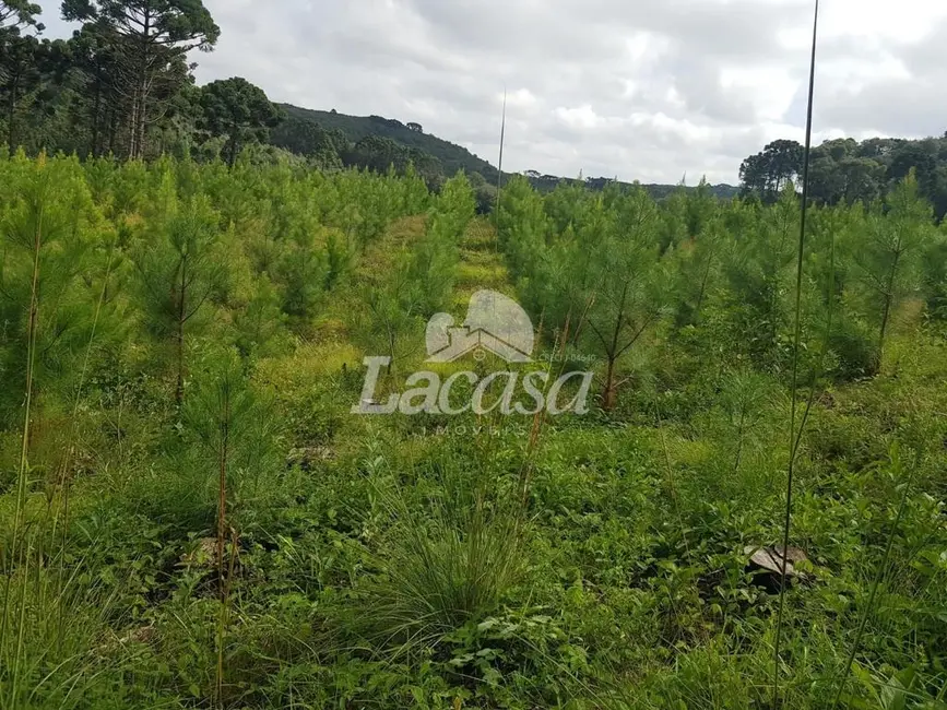 Foto 1 de Chácara à venda, 19m2 em Guarapuava - PR