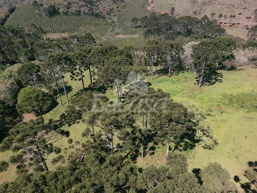 Foto 8 de Chácara à venda, 19m2 em Guarapuava - PR