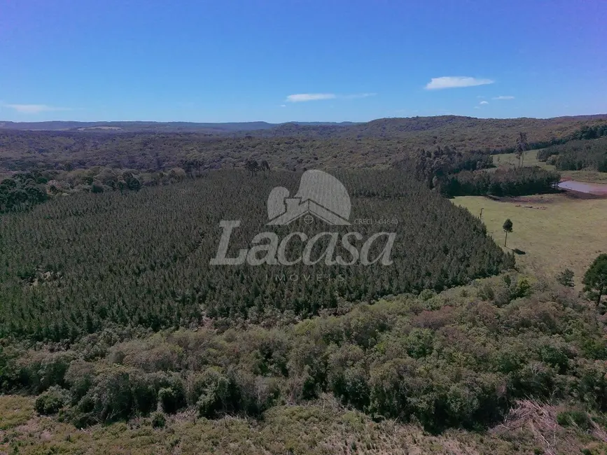 Foto 2 de Chácara à venda, 19m2 em Guarapuava - PR