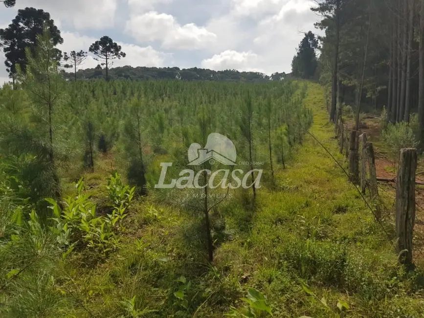 Foto 2 de Chácara à venda, 19m2 em Guarapuava - PR