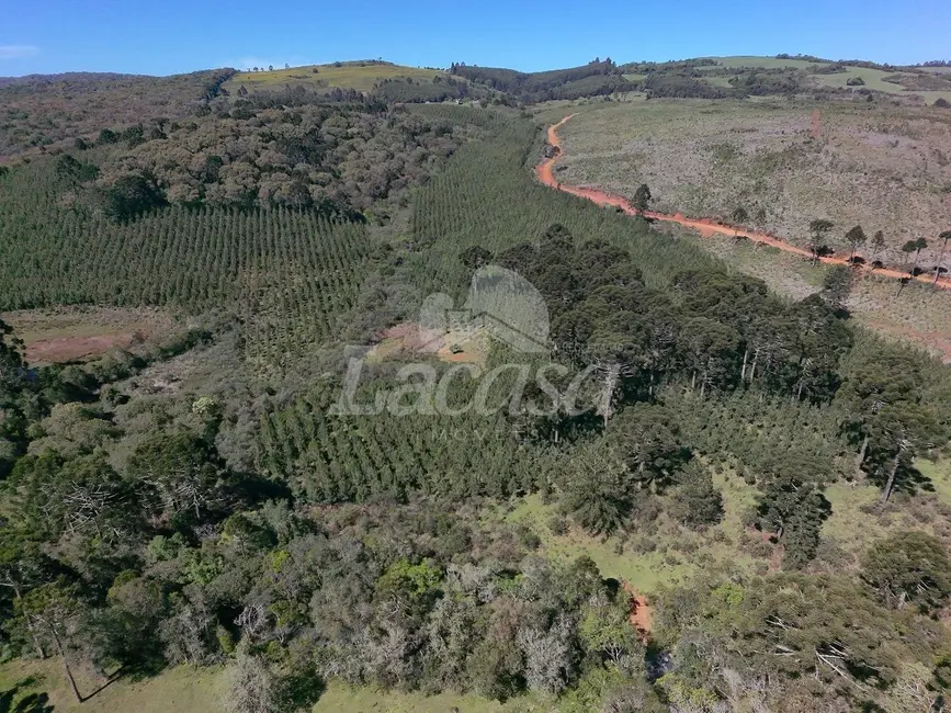 Foto 10 de Chácara à venda, 19m2 em Guarapuava - PR