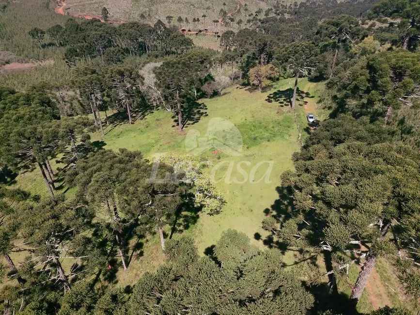 Foto 6 de Chácara à venda, 19m2 em Guarapuava - PR