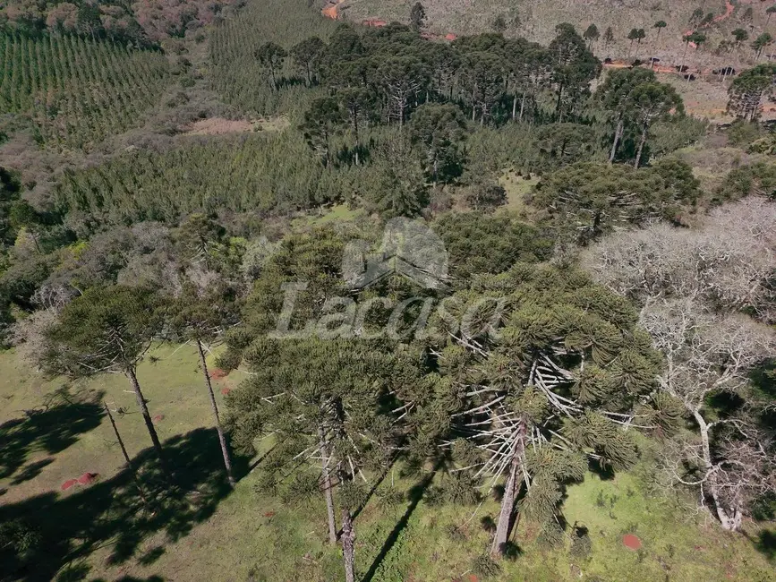 Foto 7 de Chácara à venda, 19m2 em Guarapuava - PR