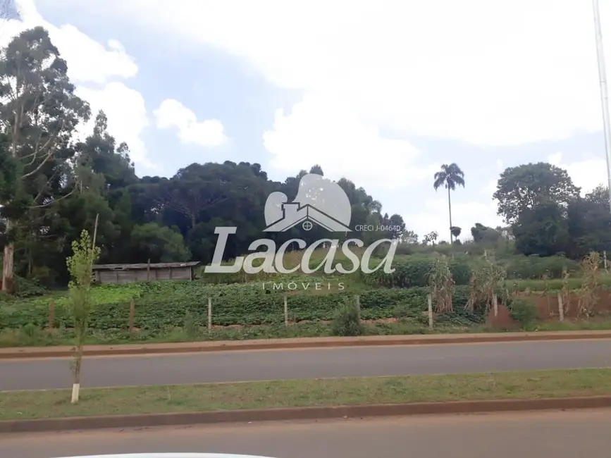 Foto 1 de Terreno / Lote para alugar, 3800m2 em Guarapuava - PR