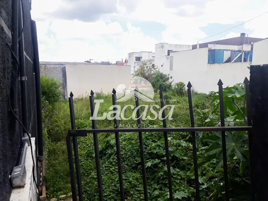 Foto 6 de Terreno / Lote para alugar, 600m2 em Centro, Guarapuava - PR