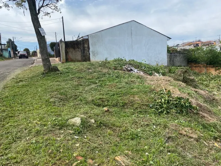 Foto 5 de Terreno / Lote à venda, 248m2 em Batel, Guarapuava - PR