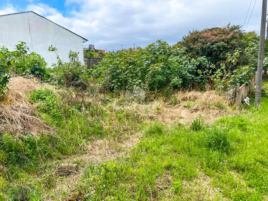 Foto 3 de Terreno / Lote à venda, 248m2 em Batel, Guarapuava - PR