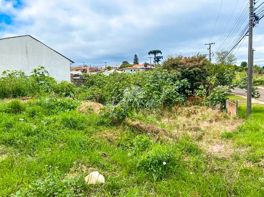 Foto 1 de Terreno / Lote à venda, 248m2 em Batel, Guarapuava - PR