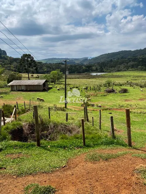 Foto 15 de Chácara à venda, 33m2 em Morro Alto, Guarapuava - PR