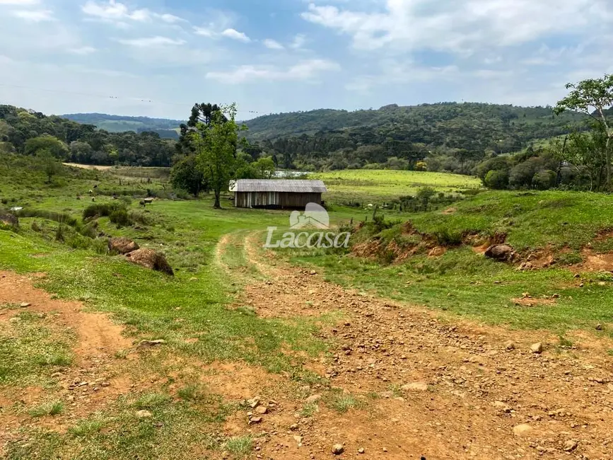 Foto 7 de Chácara à venda, 33m2 em Morro Alto, Guarapuava - PR