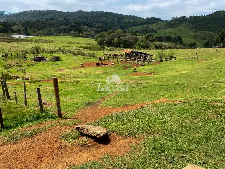 Foto 6 de Chácara à venda, 33m2 em Morro Alto, Guarapuava - PR