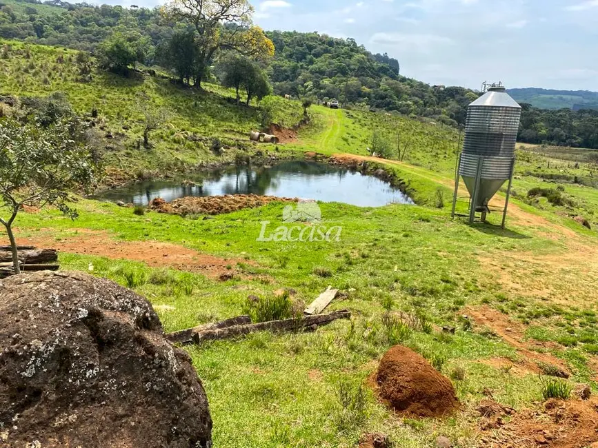 Foto 10 de Chácara à venda, 33m2 em Morro Alto, Guarapuava - PR