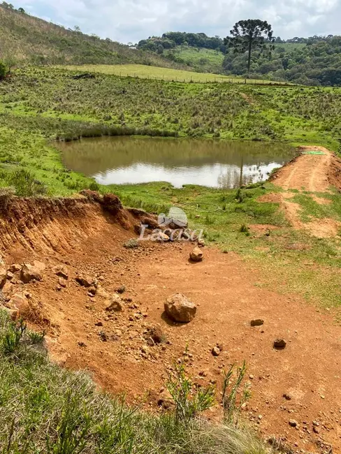 Foto 11 de Chácara à venda, 33m2 em Morro Alto, Guarapuava - PR
