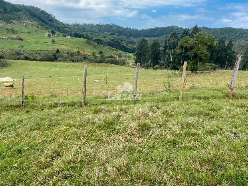 Foto 14 de Chácara à venda, 33m2 em Morro Alto, Guarapuava - PR