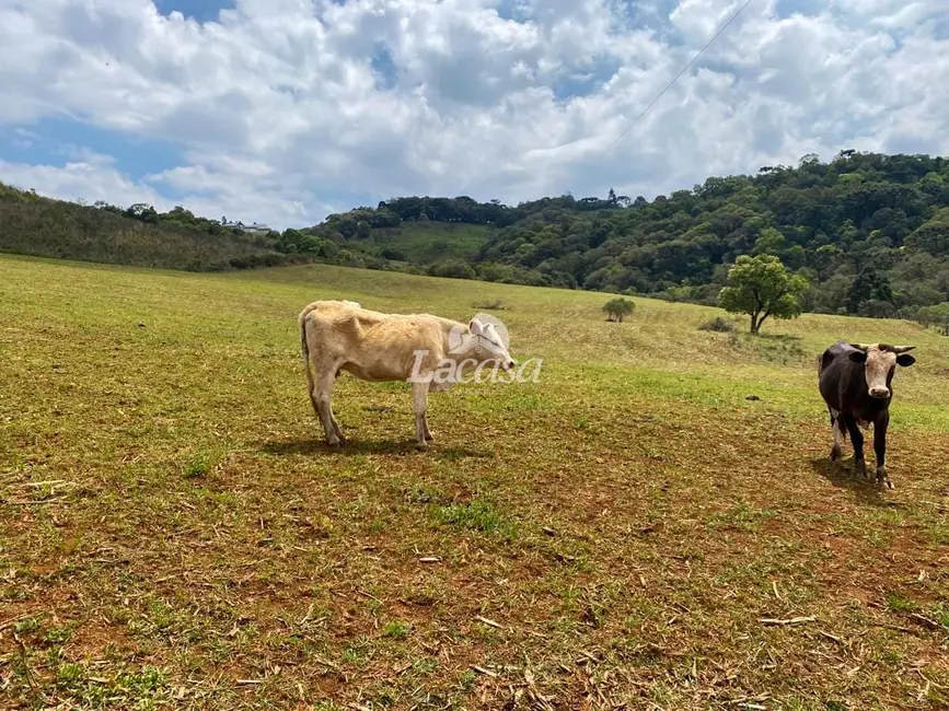 Foto 22 de Chácara à venda, 33m2 em Morro Alto, Guarapuava - PR