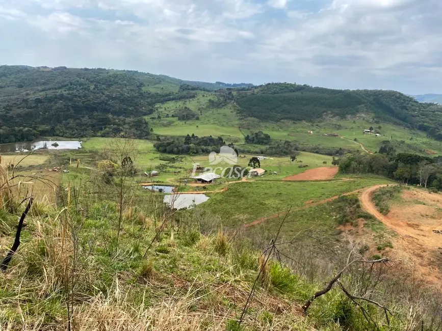 Foto 8 de Chácara à venda, 33m2 em Morro Alto, Guarapuava - PR