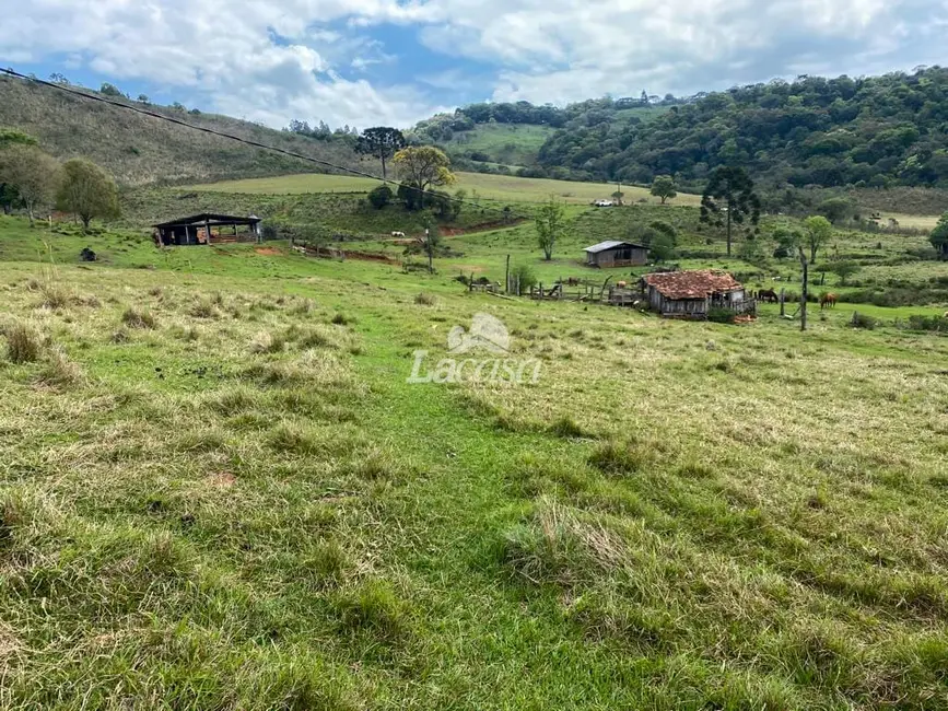 Foto 18 de Chácara à venda, 33m2 em Morro Alto, Guarapuava - PR