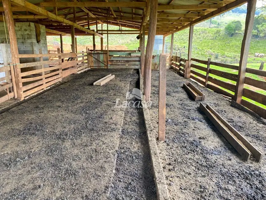 Foto 21 de Chácara à venda, 33m2 em Morro Alto, Guarapuava - PR