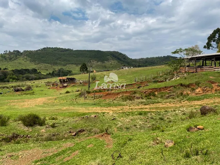Foto 19 de Chácara à venda, 33m2 em Morro Alto, Guarapuava - PR