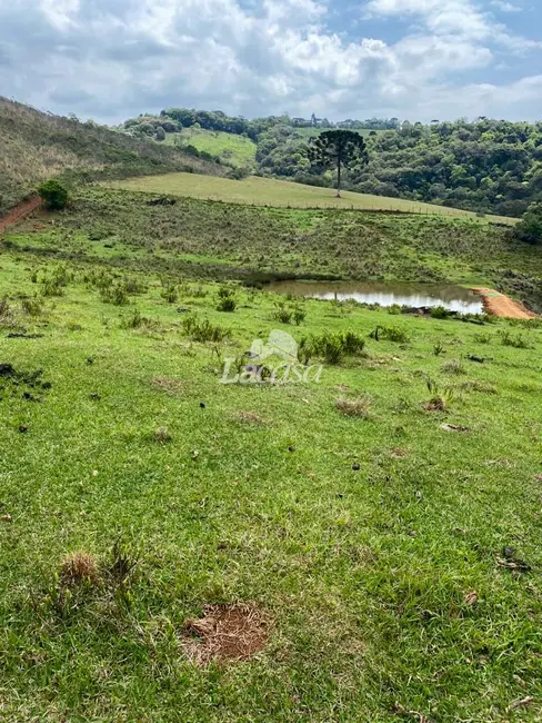 Foto 9 de Chácara à venda, 33m2 em Morro Alto, Guarapuava - PR
