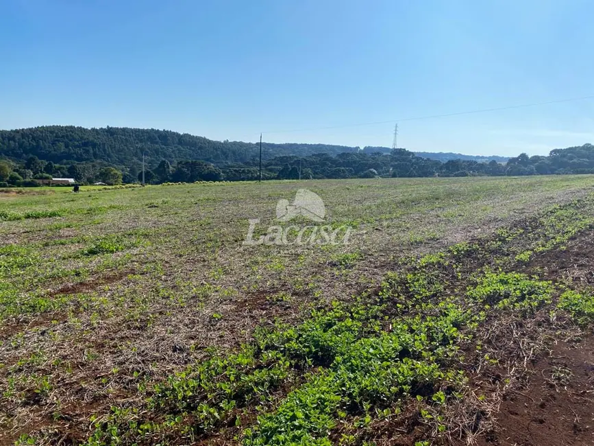 Foto 2 de Chácara à venda, 24929m2 em Guarapuava - PR