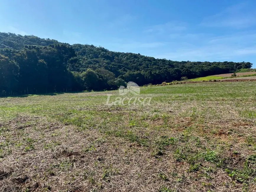 Foto 5 de Chácara à venda, 24929m2 em Guarapuava - PR