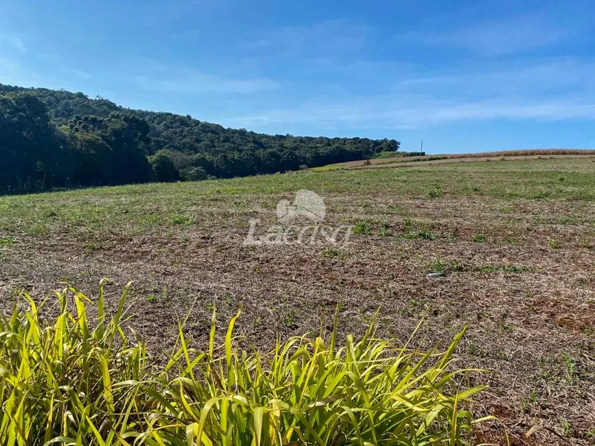 Foto 6 de Chácara à venda, 24929m2 em Guarapuava - PR
