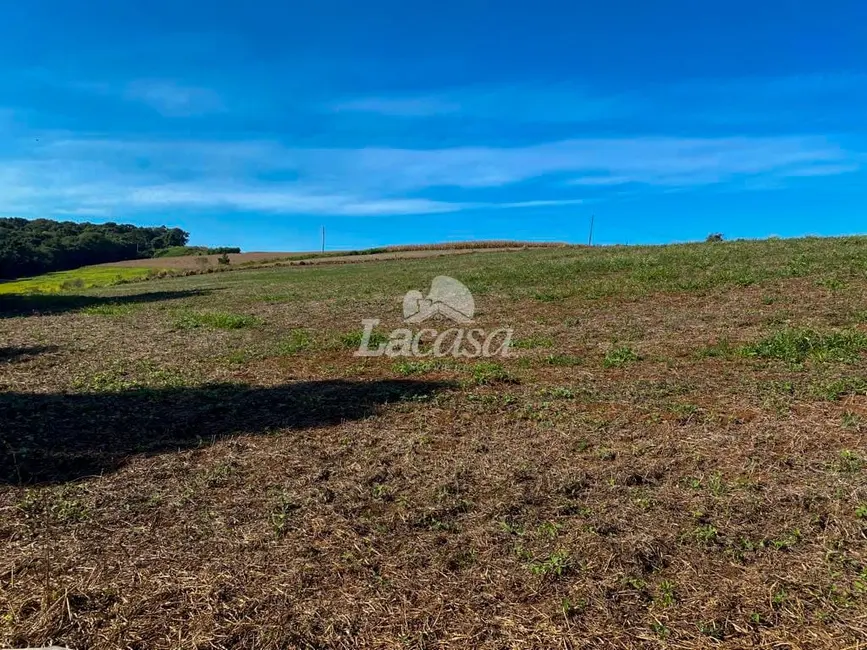 Foto 9 de Chácara à venda, 24929m2 em Guarapuava - PR