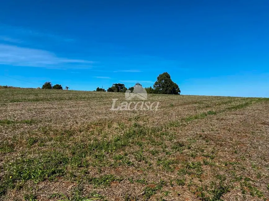 Foto 7 de Chácara à venda, 24929m2 em Guarapuava - PR
