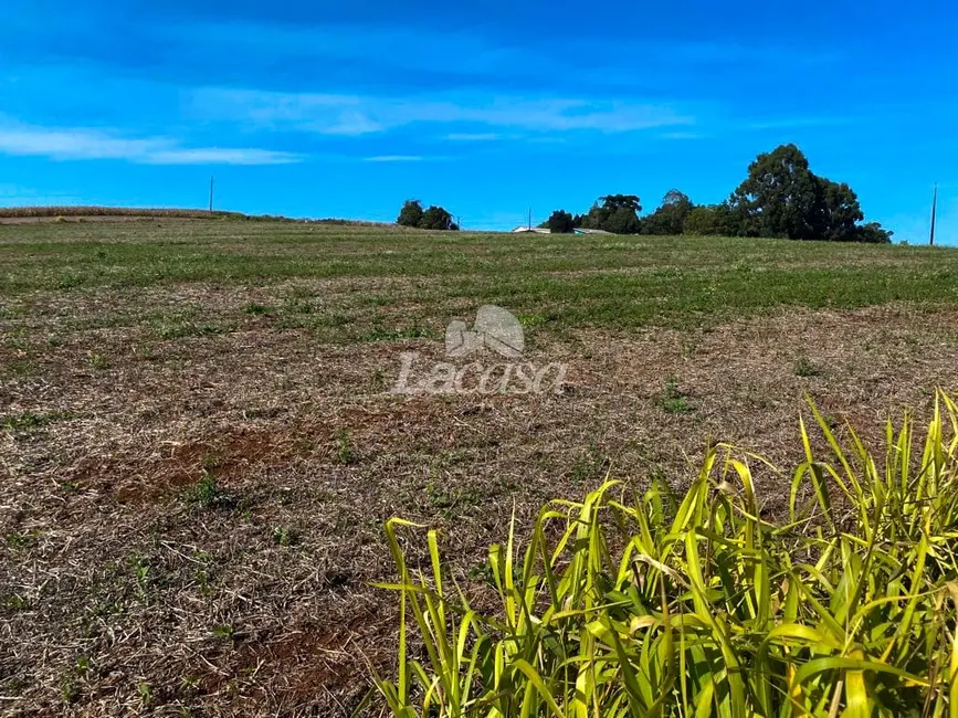 Foto 3 de Chácara à venda, 24929m2 em Guarapuava - PR