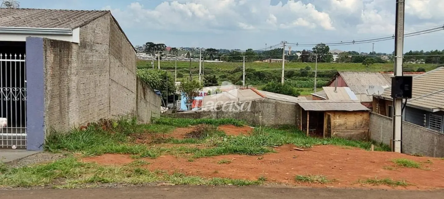 Foto 6 de Terreno / Lote à venda, 175m2 em Jardim das Américas, Guarapuava - PR