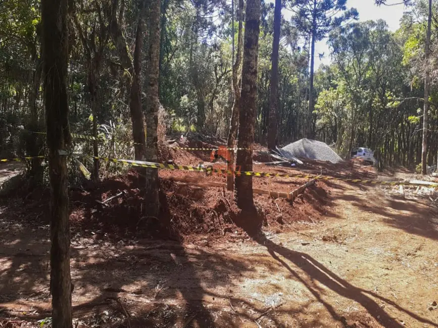 Foto 19 de Chácara à venda, 20000m2 em Guarapuava - PR