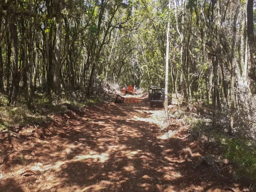 Foto 2 de Chácara à venda, 20000m2 em Guarapuava - PR