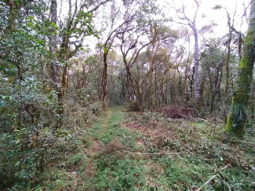 Foto 12 de Chácara à venda, 20000m2 em Guarapuava - PR
