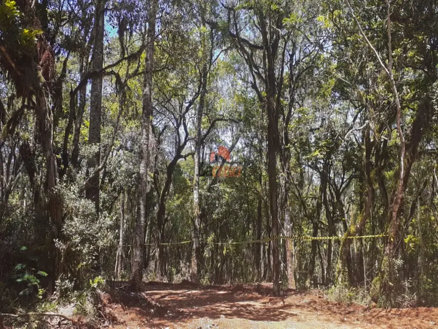 Foto 6 de Chácara à venda, 20000m2 em Guarapuava - PR