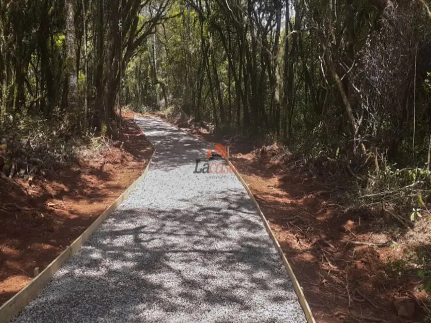 Foto 7 de Chácara à venda, 20000m2 em Guarapuava - PR