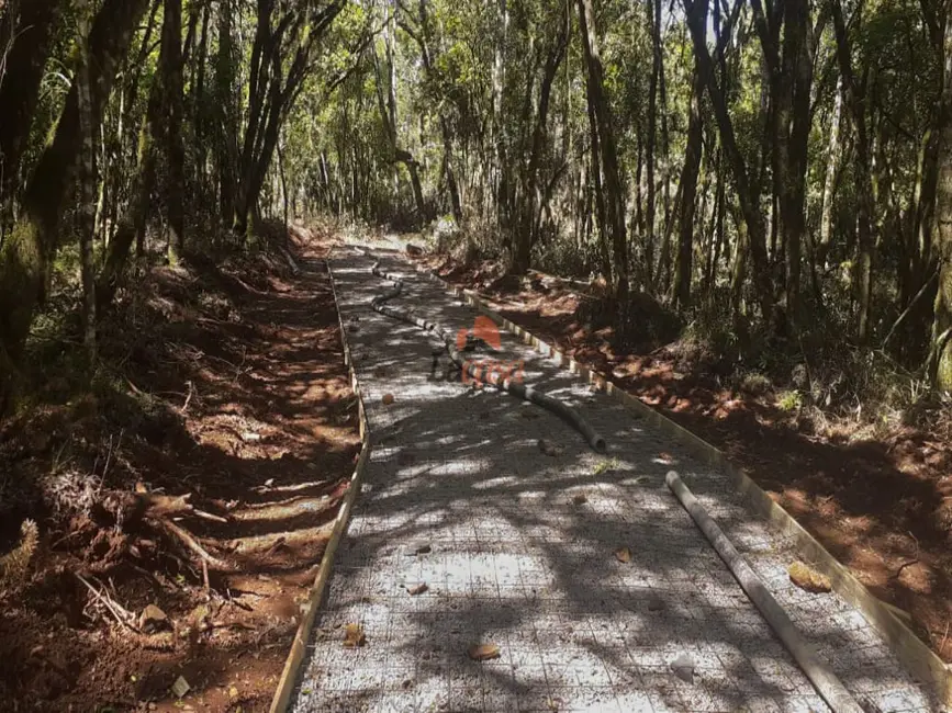 Foto 8 de Chácara à venda, 20000m2 em Guarapuava - PR
