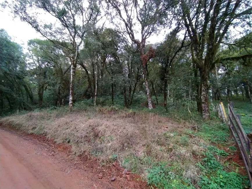 Foto 11 de Chácara à venda, 20000m2 em Guarapuava - PR