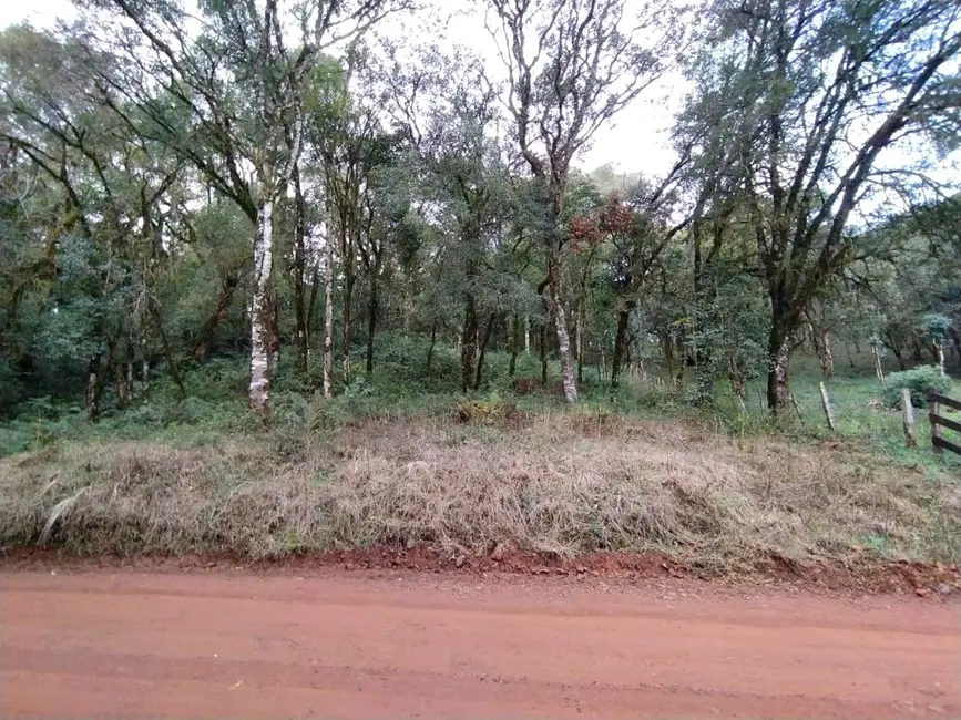 Foto 10 de Chácara à venda, 20000m2 em Guarapuava - PR